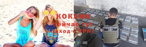 сатива Надым