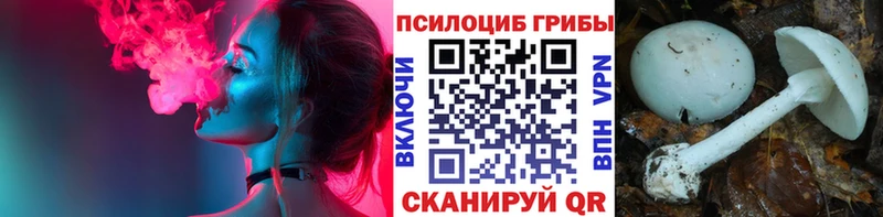 закладки  Новоуральск  Галлюциногенные грибы Magic Shrooms 
