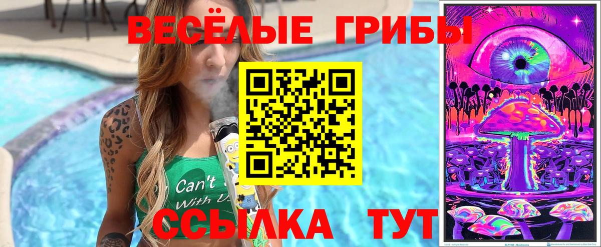 цена   Галлюциногенные грибы мухоморы  Псилоцибиновые грибы Magic Shrooms  Вход с VPN  Новоуральск 