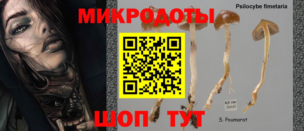 Галлюциногенные грибы мицелий Новоуральск
